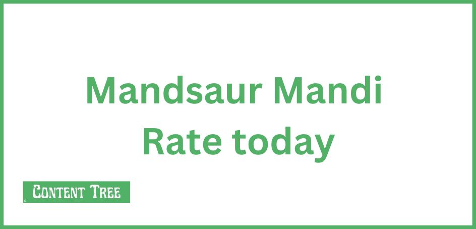 mandsaur mandi bhav today rate