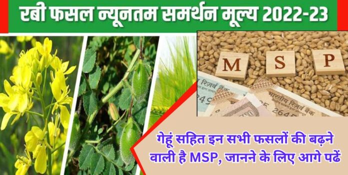 गेहूं सहित इन सभी फसलों की बढ़ने वाली है MSP जानने के लिए आगे पढेंगे